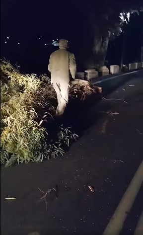 KAKOKAIRIA RODITHS 2