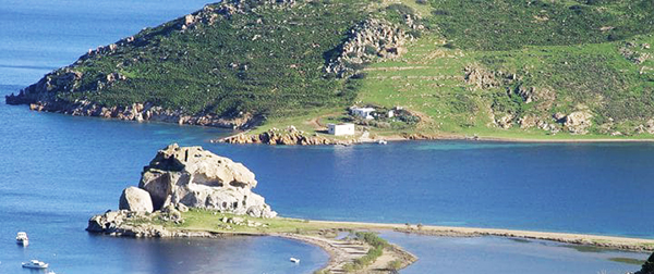 tragonhsi kalikatsoujpg 1