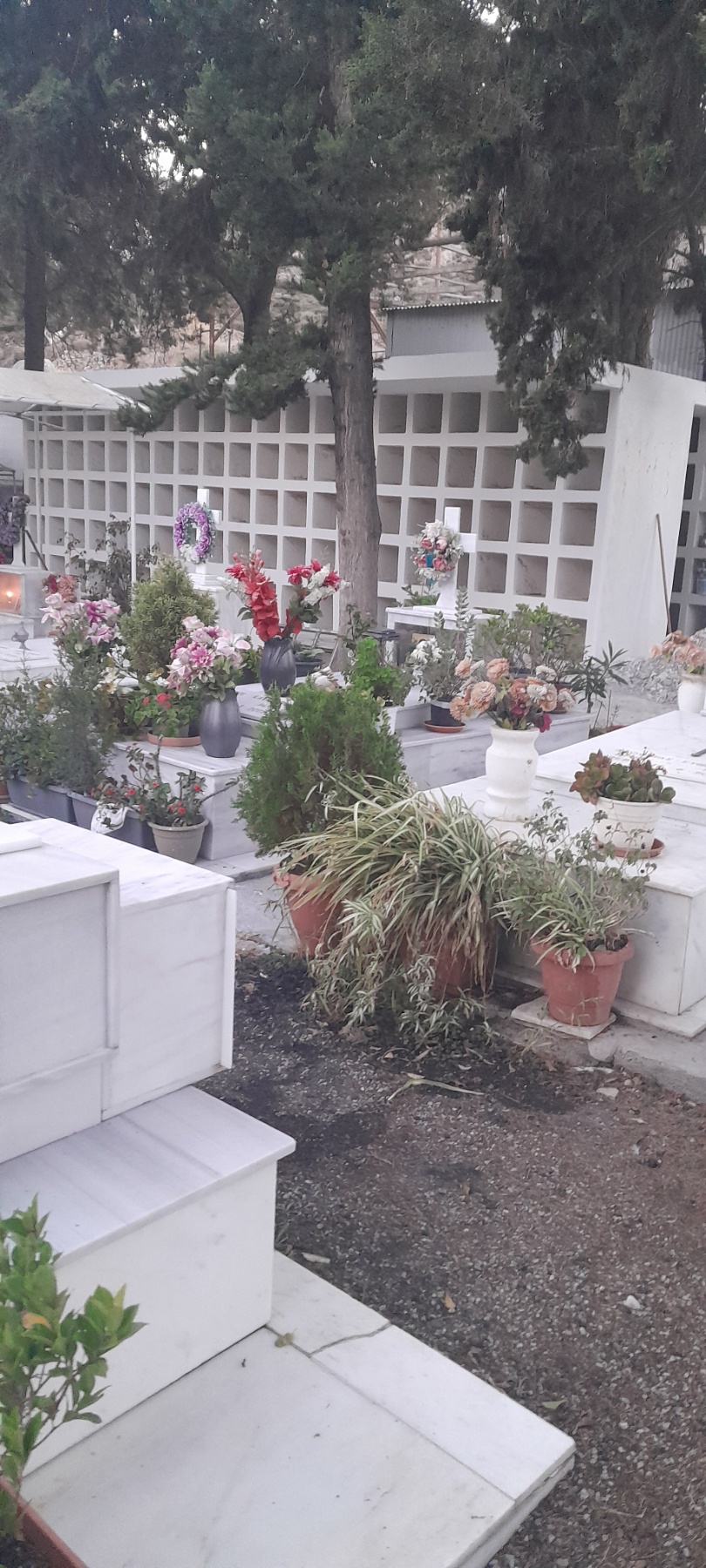 εικόνα Viber 2025 11 11 09 50 25 025