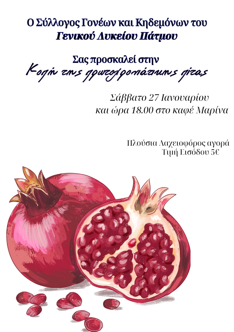 KOPH PITAS LYKEIO PATMOU