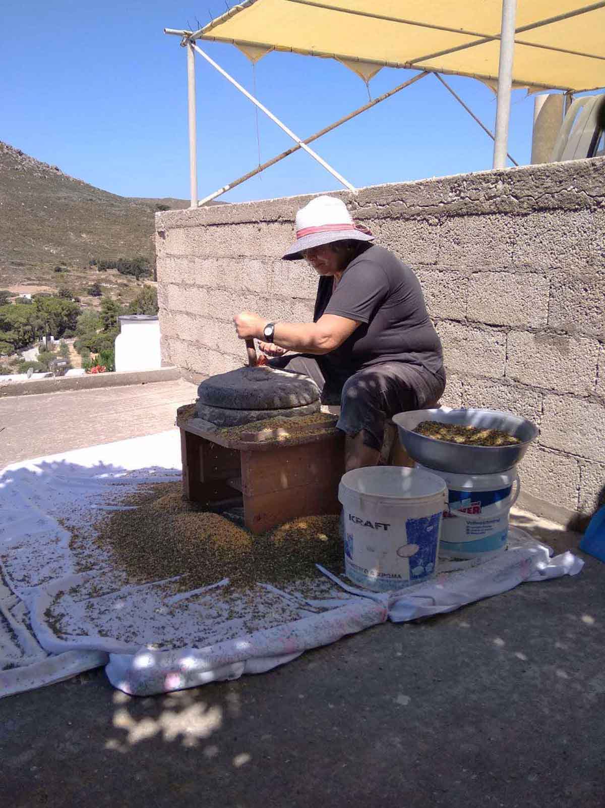 Μαρίνα Στη σκιά της Σεφλέρης αλέθοντας τη φάβα με τον πετρόμυλο