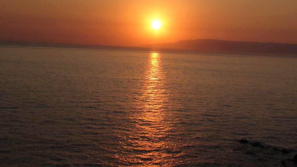 VIOLOGIKOS 7