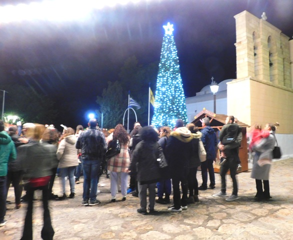 XRISTOUGEO DENDRO KAMPOS 8