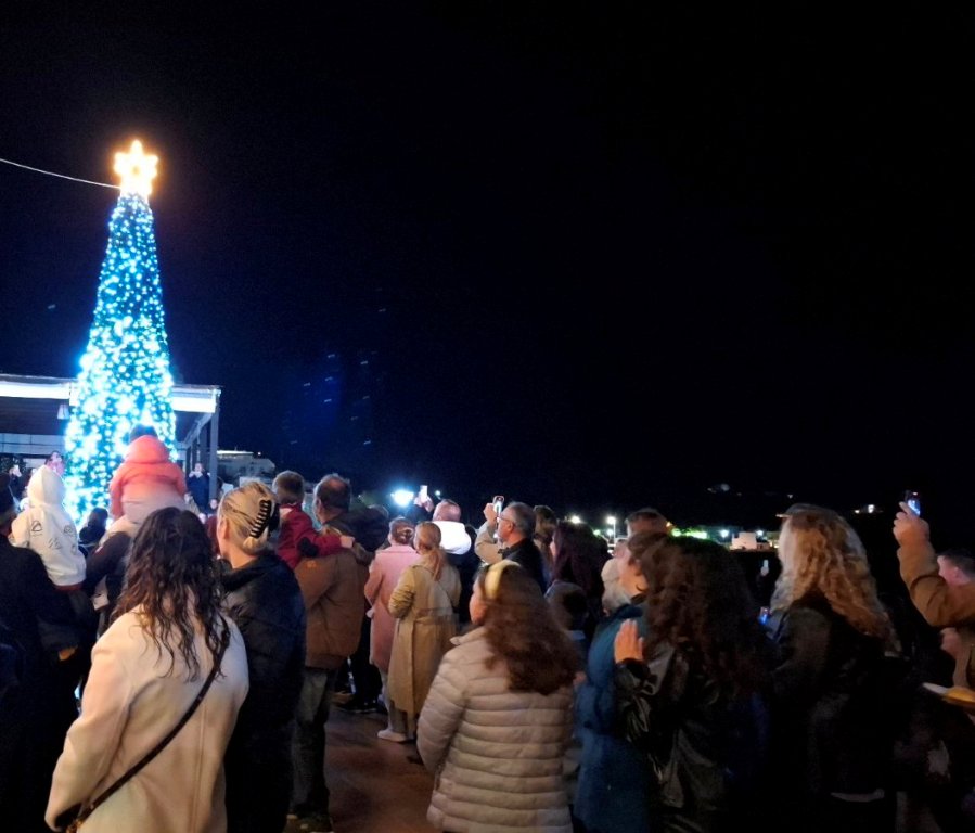 ANAMA DENDROU SKALA 12 WEB