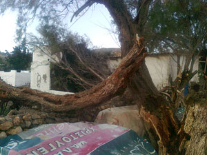 anemostrovilos-agriol