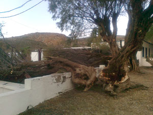 anemostrovilos-agriol2