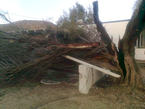 anemostrovilos-agriol3