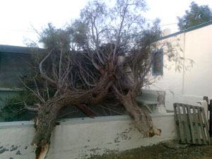 anemostrovilos-agriol5