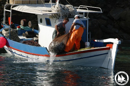 archipelagos bitzotrata2