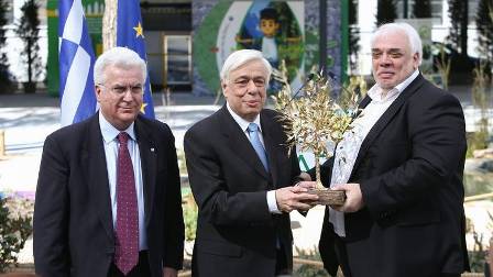 parko anakyklosis