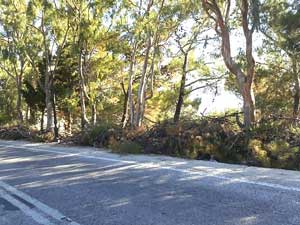 KLADEMATA-DROMOS2jpg