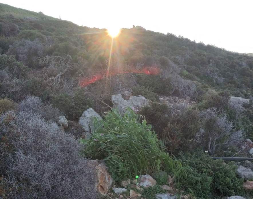 Πρόσκληση στο τετραήμερο  εθελοντισμού  στη 2η δεντροφύτευση της χρονιάς στον Κουμά